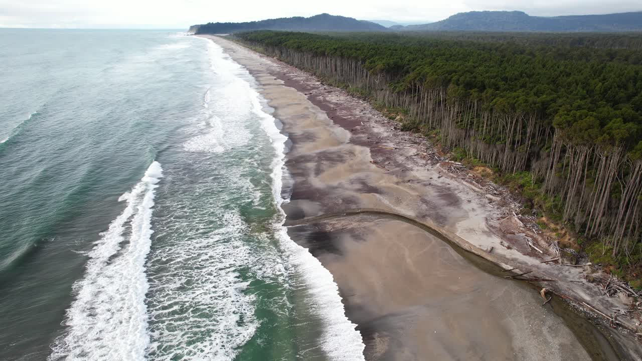 Waves In The Shoreline Of Maori Beach With Rimu Trees In Bruce Bay, West Coast, South Island, New Zealand. - aerial shot