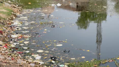 a pond polluted with garbage and plastic bottles