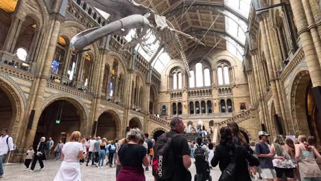 crowd explores museum beneath whale skeleton