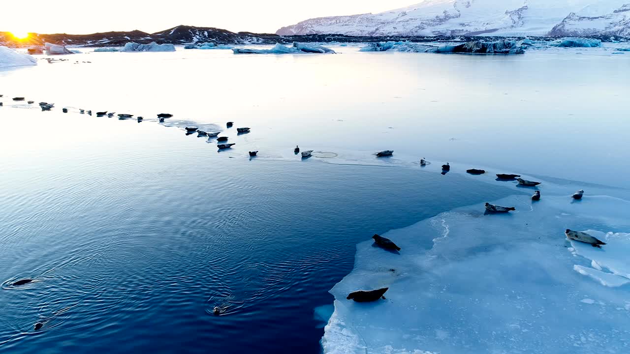아이슬란드의 하 얼음 위에 있는 해파리의 파노라마 뷰, 은 해가 지는 아래, 우리는 빙하와 지평선에서 하늘을 볼 수 있습니다.