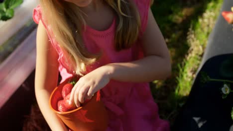 girls picking strawberries in the farm 4k