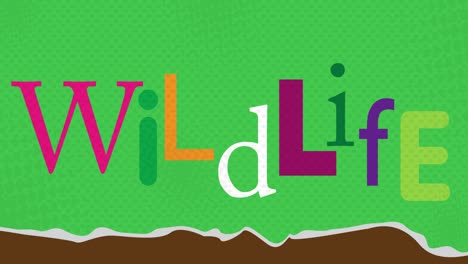random macro letters stop motion animation with wildlife text on the end.
