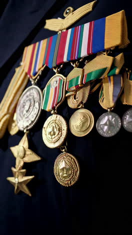 military officer in formal setting