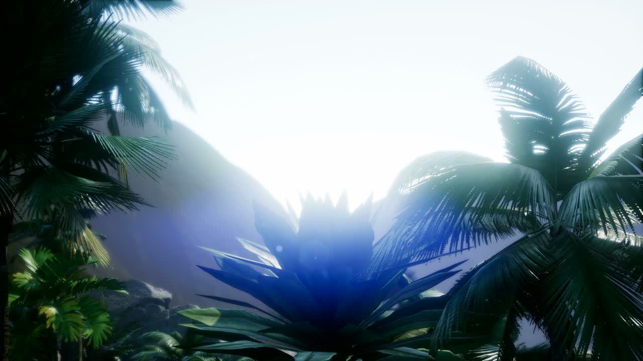 paisaje de montaña y campo con palmeras