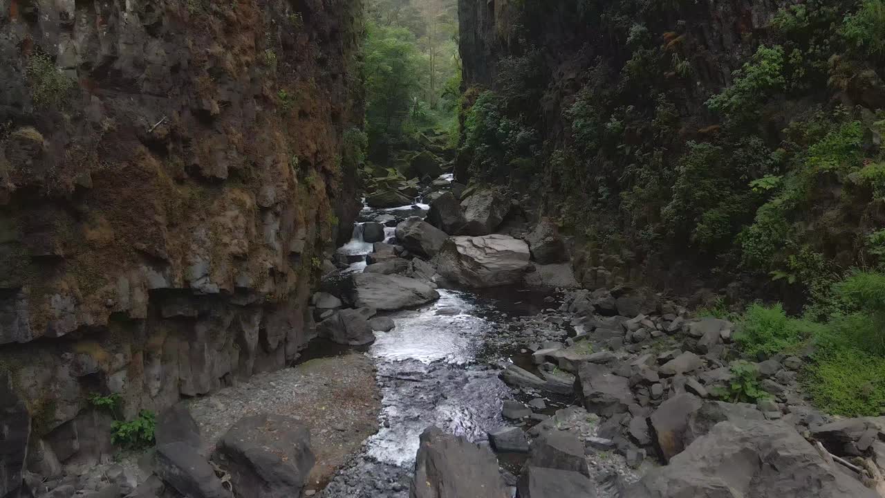 hermoso arroyo en la jungla de veracruz, méxico la naturaleza viaja