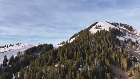 Pinos-De-Invierno-En-Las-Laderas-De-Churfirsten,-Glaris,-Suiza---Antena