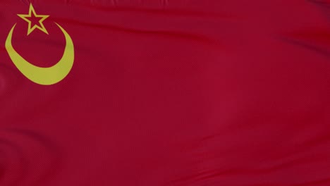 bandera de la unión de las repúblicas soviéticas islámicas, ondeando al viento