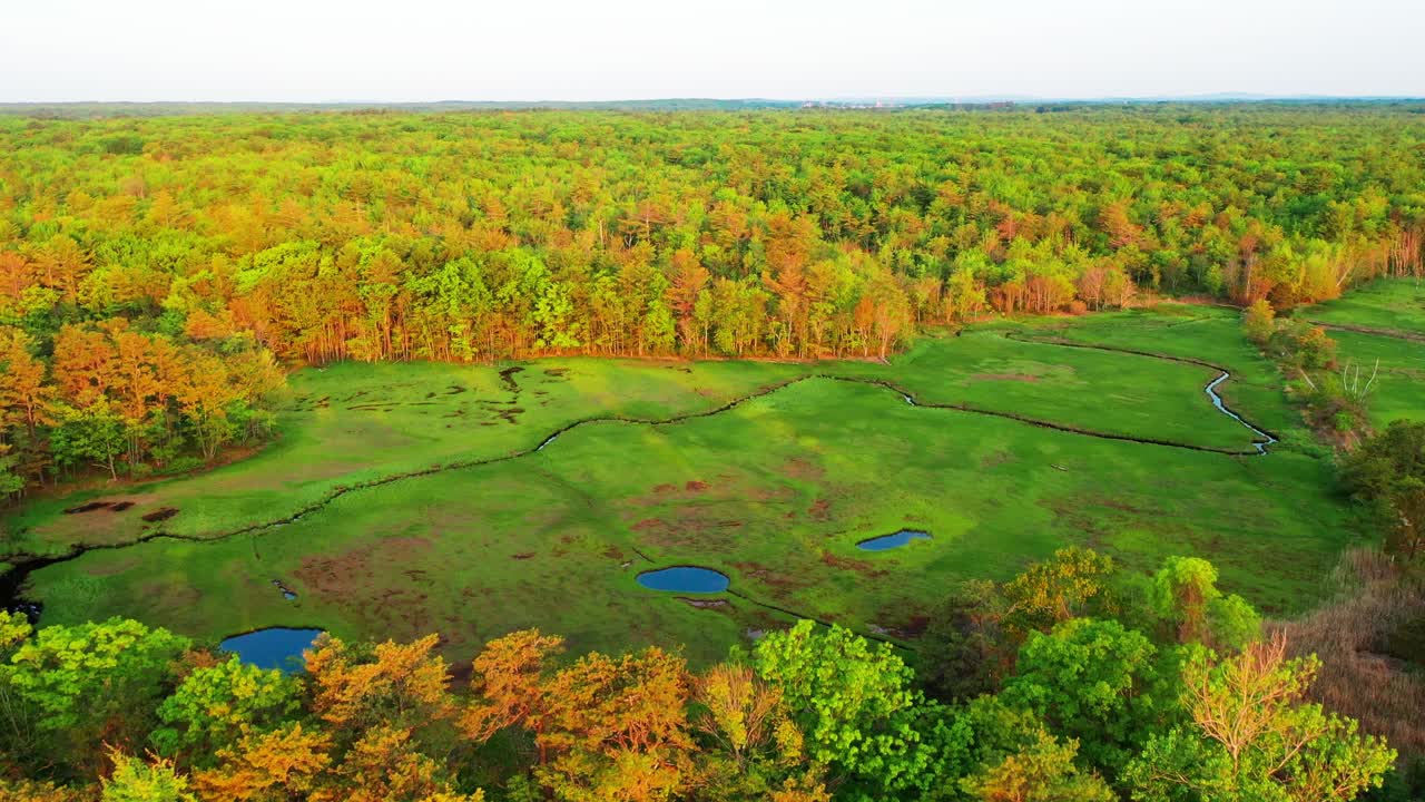 Aerial drone clip of a Maine swamp jungle. Wild green trees, rivers, ponds, houses tucked near a road, cars parked under powerlines. People are driving through wetlands for a relaxing summer vacation.