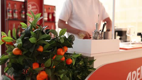 aperol spritz bar