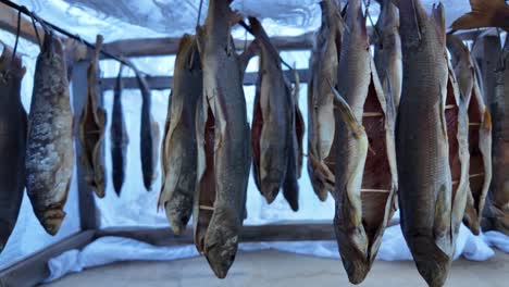 El-Pescado-Recién-Capturado-Del-Lago-Se-Cuelga-En-Una-Rejilla-De-Madera-Tradicional-Para-Que-Se-Seque-Naturalmente-Bajo-El-Sol.