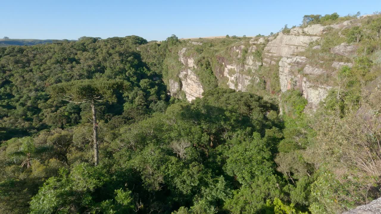 atracción natural dolina grande, parque nacional campos gerais, ciudad de ponta grossa, brasil