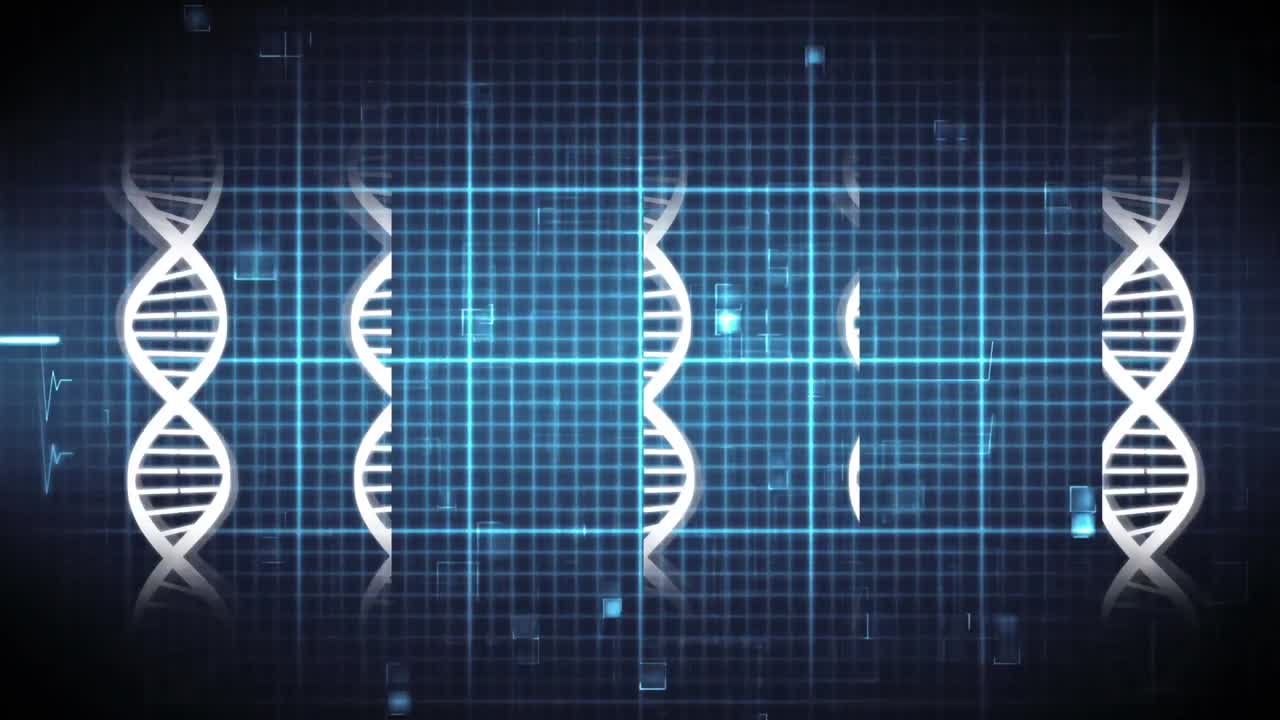 DNA double helix and heart rate