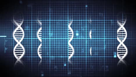 Doble-Hélice-De-Adn-Y-Frecuencia-Cardíaca