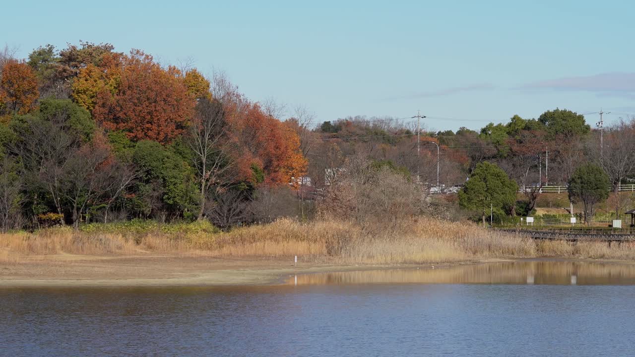 日本の愛知県尾張旭市今池の風景