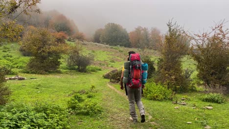 Ein-Mann-Mit-Gelbem-Hemd-Und-Rotem-Rucksack-Spaziert-In-Einem-Frischen-Wald-Im-Herbst-Auf-Einer-Wandertour-Zum-Zelten-In-Der-Wildnis,-Um-Fotos-Von-Der-Natur-Und-Orangenlaubbäumen-Auf-Grünen-Hügeln-Im-Savadkuh-Gebirge-Zu-Machen