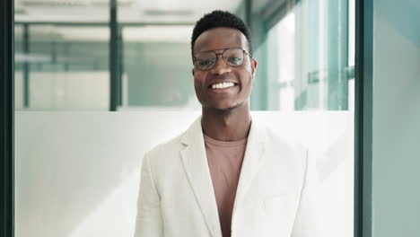 businessman, leadership and corporate face