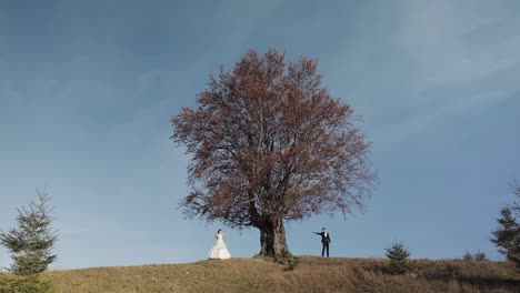 Recién-Casados.-Novio-Caucásico-Con-Novia-Cerca-De-Un-Hermoso-árbol-Otoñal.-Pareja-De-Novios