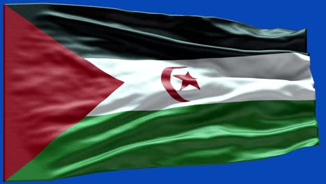 4k bandera muy detallada de la república democrática árabe sahraui - bandera de la república democrática árabe saharaui alto detalle - bandera nacional de la república democrática árabe sahraui patrón de ondas elementos en bucle