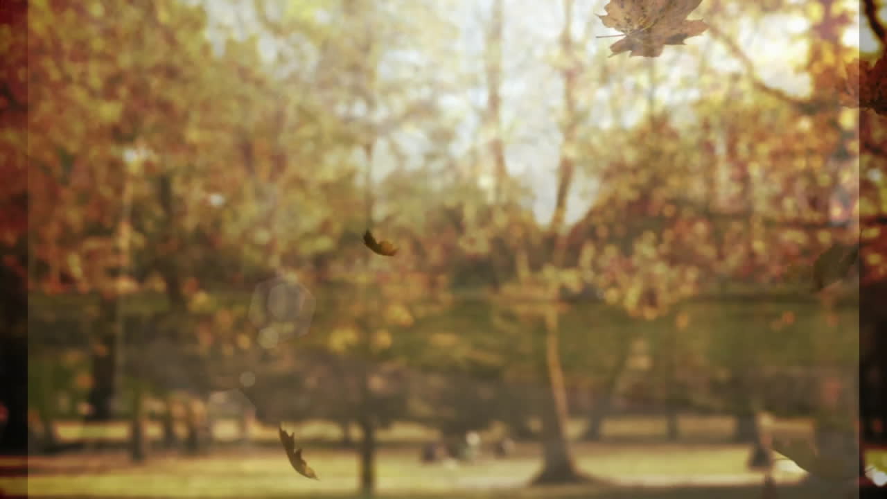 Animation of autumn leaves falling in sunlit park with trees in background