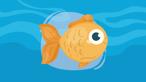 yellow fish swiming sealife animation