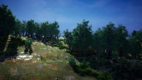 beautiful panoramic landscape of the mountain valley