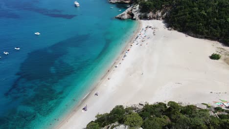 aerial view of the beach and the coast