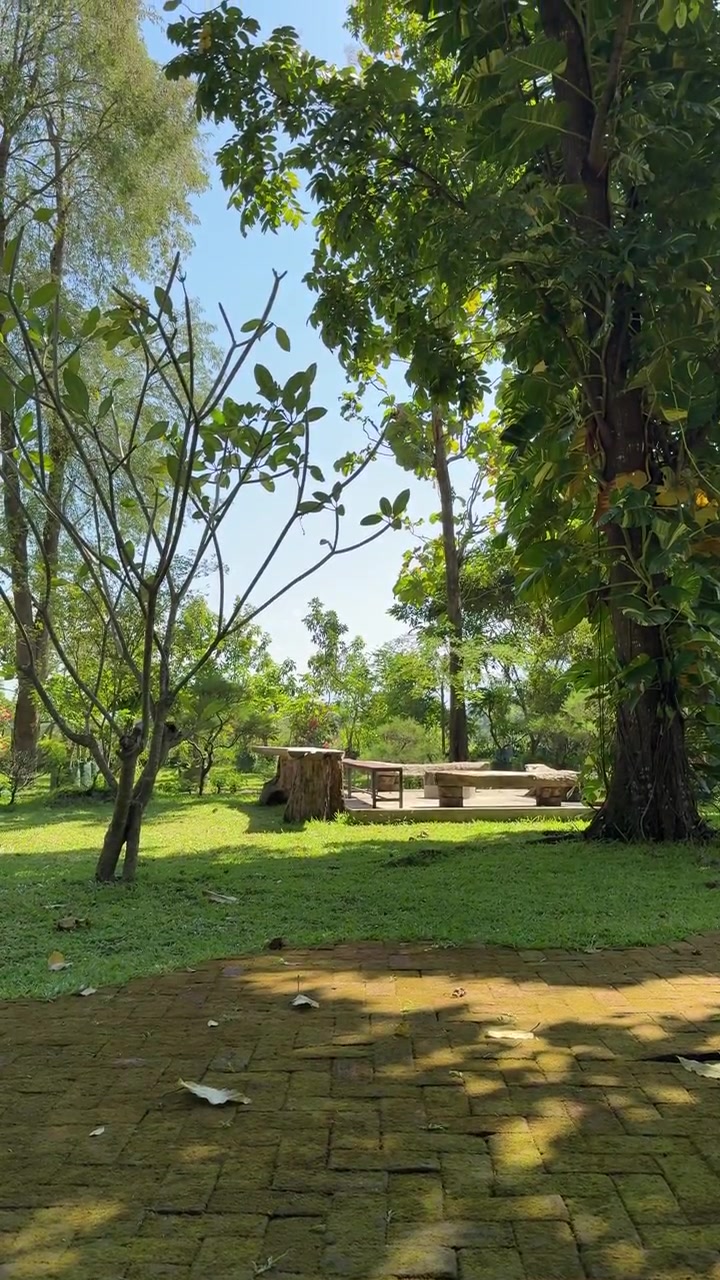 Entorno de jardín tranquilo con banco de madera y vegetación exuberante