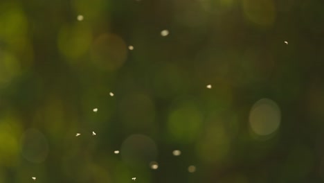 blurred green background with particles