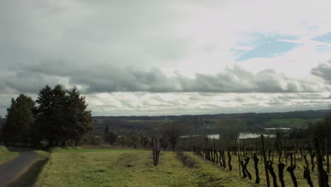 a timelapse of a wine vineyard in france bordeaux this is in winter