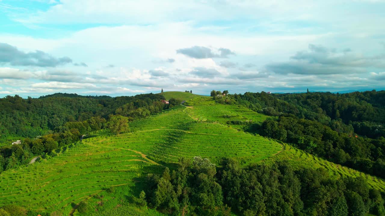 Stunning drone footage of vineyard-covered hills in the heart of Prlekija, Jeruzalem Slovenia, stretching alongside a lush forest with a backdrop of blue skies