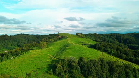 Atemberaubende-Drohnenaufnahmen-Von-Mit-Weinbergen-Bedeckten-Hügeln-Im-Herzen-Von-Prlekija,-Jerusalem,-Slowenien,-Die-Sich-Entlang-Eines-üppigen-Waldes-Mit-Blauem-Himmel-Im-Hintergrund-Erstrecken