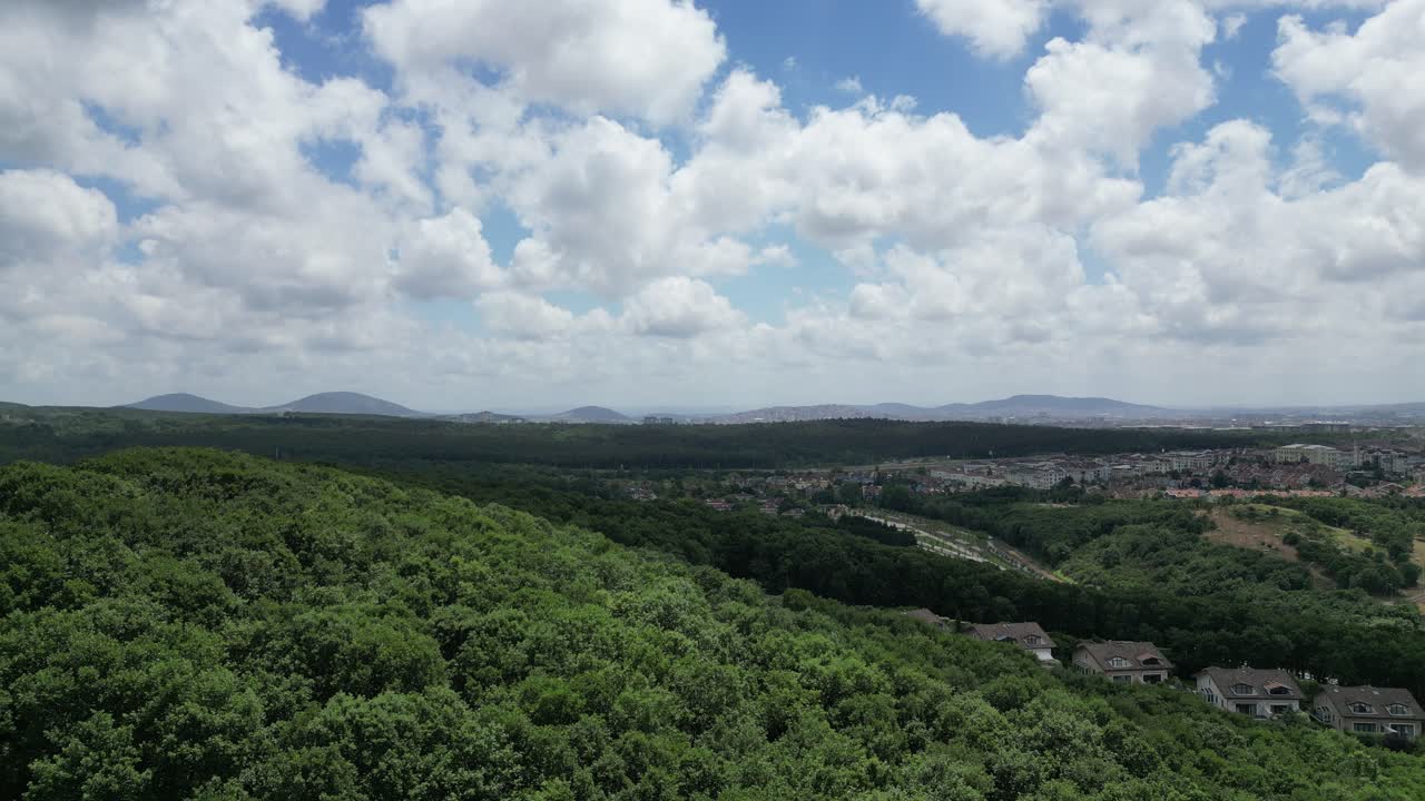 Drone image rising upwards from the forest walk area