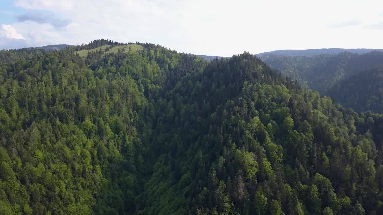 Ripresa aerea panoramica di una zona boscosa in una valle con montagne sullo sfondo e cielo sereno.