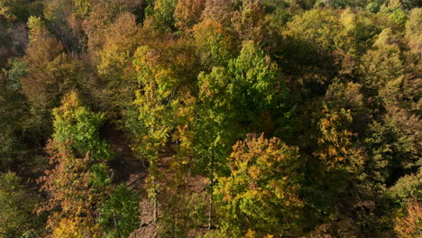aerial view of vibrant autumn foliage covering a mountainous landscape, showcasing a stunning array of red, orange, yellow, and green trees under a bright blue sky