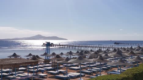 sonnenliegen am strand. weine am roten meer und am strand