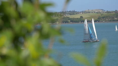 revealing racing catamarans