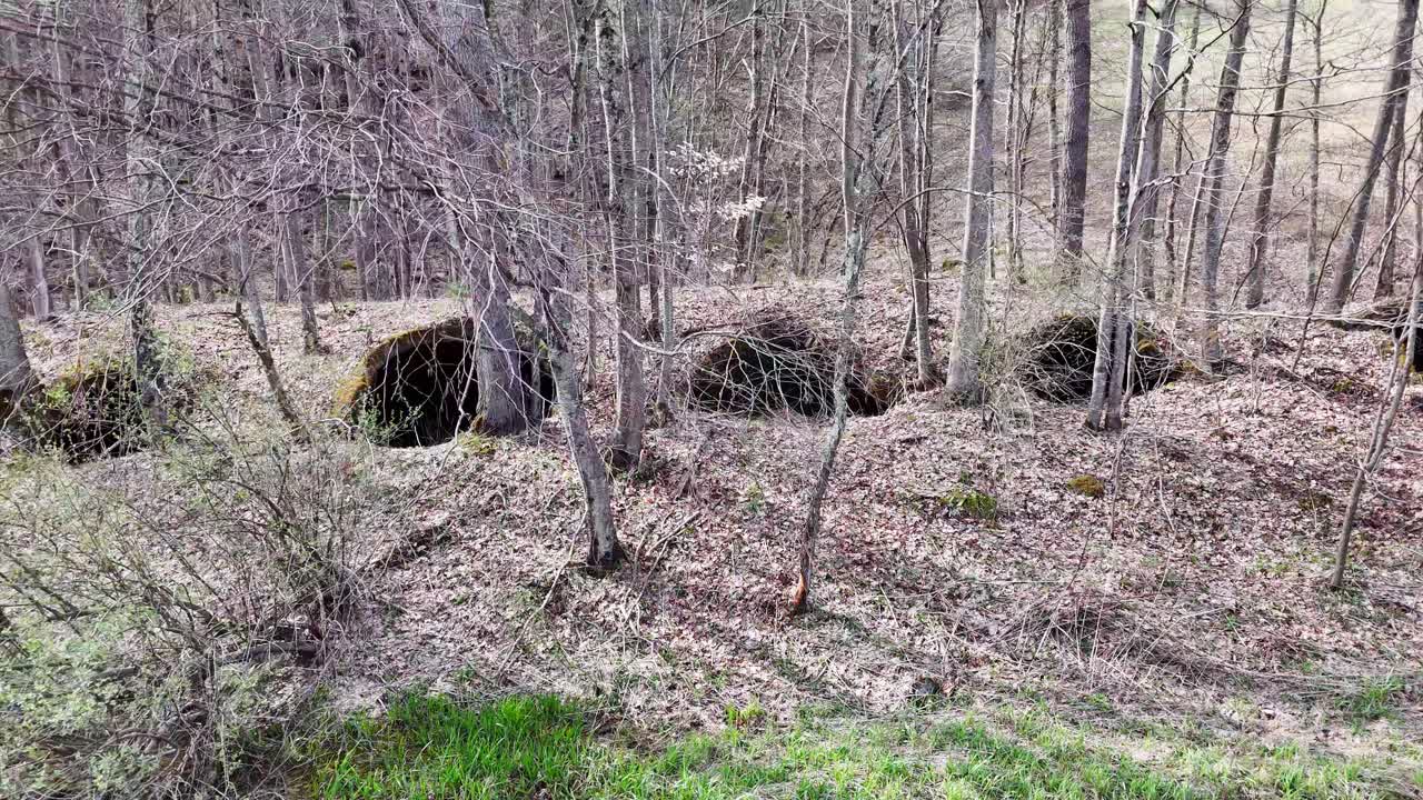 Historic Coke Oven Ruins in Spring Forest at Davis, West Virginia, USA in Aerial view