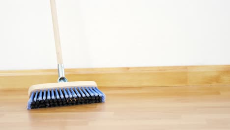 broom with wooden handle