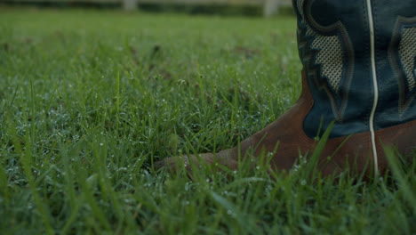 Close-Up-Of-Country-Leather-Boots-Walking-Through-Dew-Green-Grass-In-Slow-Motion,-4K