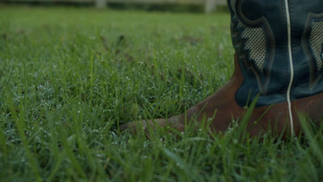 close up of country leather boots walking through dew green grass in slow motion, 4k