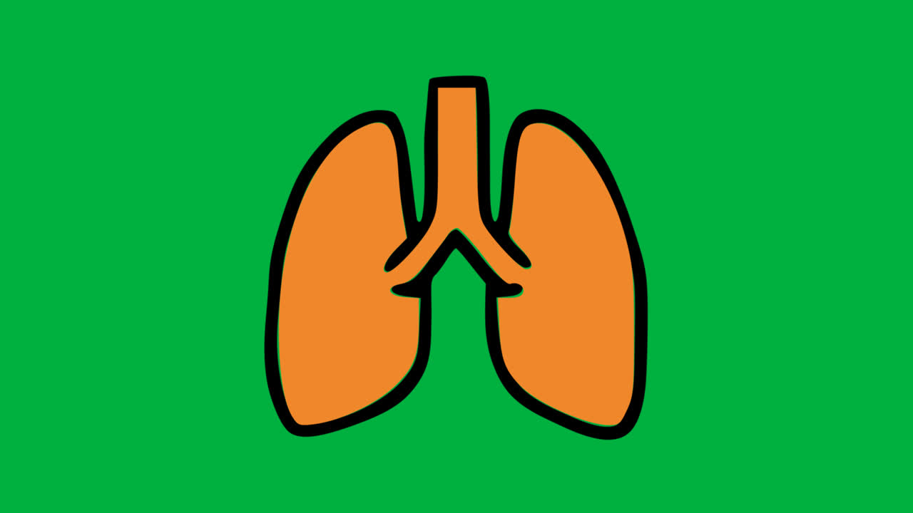 Animazione a cartone animato di polmoni umani che respirano su schermo verde.