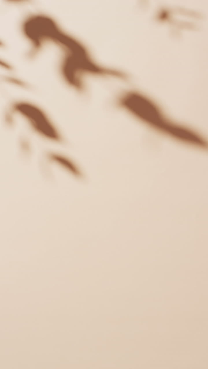 Vertical video of shadow of twigs with leaves moving with copy space over cream background