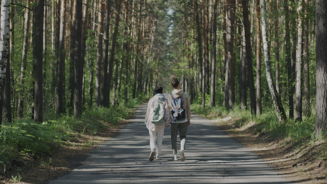 una pareja de senderistas en un bosque.