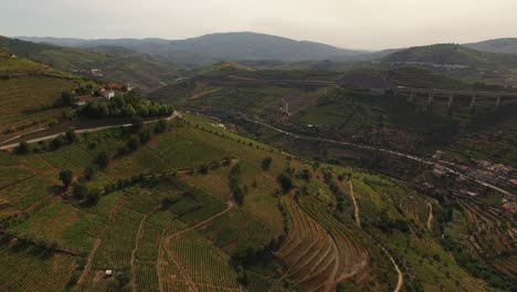 flying over famous moutains vineyards