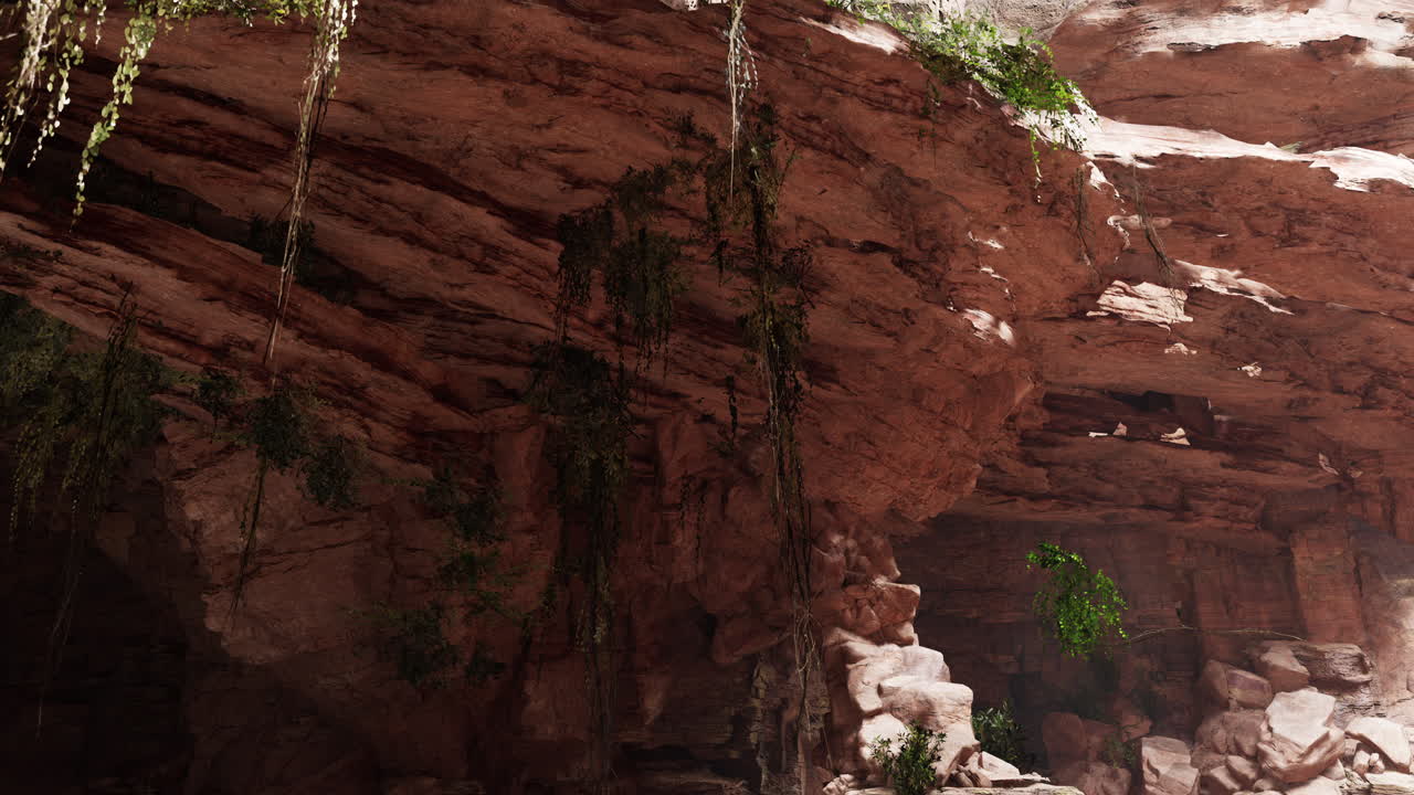 inside a limestone cave with plants and sun shine
