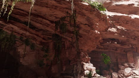 Dentro-De-Una-Cueva-De-Piedra-Caliza-Con-Plantas-Y-Sol