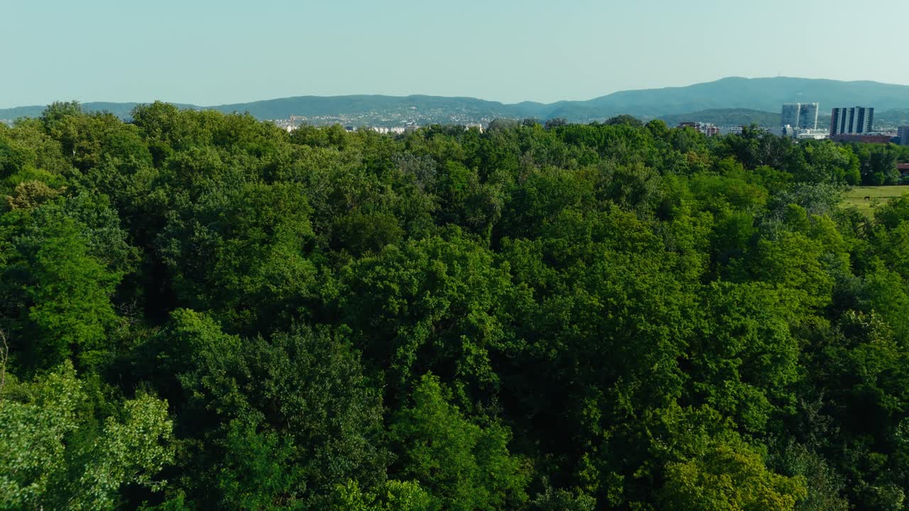 drone view of dense green forest canopy with distant view of Zagreb buildings and Medvednica hills