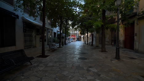 spaziergang entlang der straße in palma de mallorca, mallorca