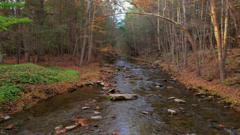 low smooth drone video footage of a beautiful appalachian forest stream during autumn