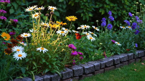 colorful flower garden in the sunlight